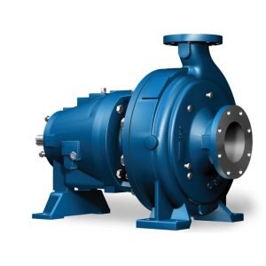 3175 Heavy Duty Process Pump: Built to Handle Your Toughest High-Volume Pumping Challenges