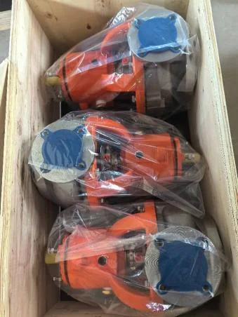 Pumps packed in non-fumigation wooden export cases